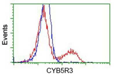 Flow Cytometry: CYB5R3 Antibody (OTI2A10) [NBP2-02705]