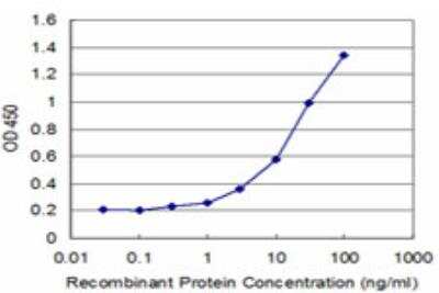 ELISA: CYP7B1 Antibody (2B11) [H00009420-M06]