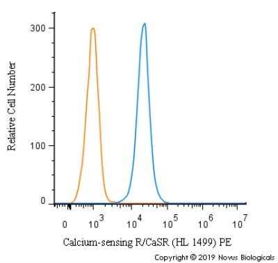 Flow Cytometry: Calcium-sensing R/CaSR Antibody (HL 1499) - Azide and BSA Free [NBP2-80607]