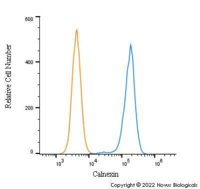 Flow Cytometry: Calnexin Antibody - BSA Free [NB100-1974]