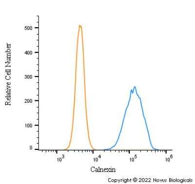 Flow Cytometry: Calnexin Antibody - BSA Free [NB100-1974]