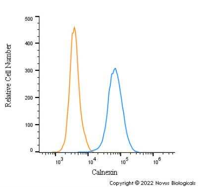 Flow Cytometry: Calnexin Antibody - BSA Free [NB100-1974]