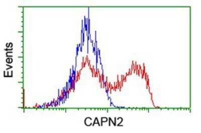 Flow Cytometry: Calpain 2 Antibody (OTI1F4) - Azide and BSA Free [NBP2-70335]