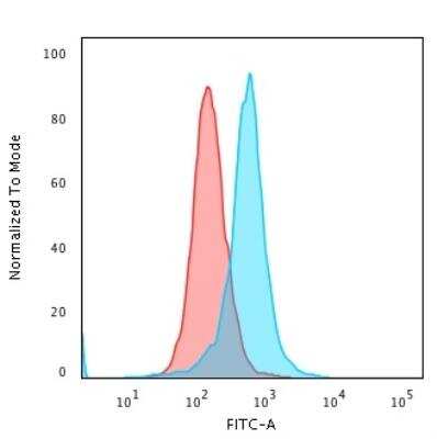 Flow Cytometry: Calponin 1 Antibody (CALP) [NBP2-44479]