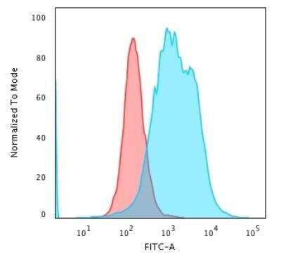 Flow Cytometry: Calponin 1 Antibody (CNN1/1408R) [NBP2-53233]