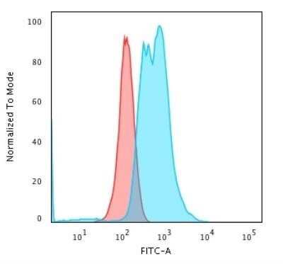 Flow Cytometry: Calponin 1 Antibody (CNN1/832 + CALP) - Azide and BSA Free [NBP2-47758]