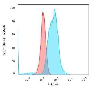 Flow Cytometry: Calponin 1 Antibody (rCNN1/832) - Azide and BSA Free [NBP2-54381]