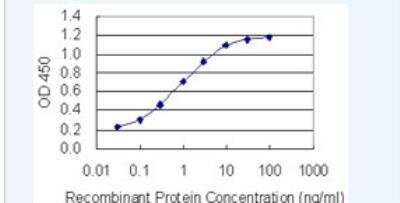 ELISA: Cancer Antigen 1 Antibody (3H8) [H00285782-M01-100ug]