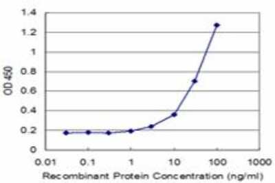 ELISA: Carbohydrate Sulfotransferase 4/CHST4 Antibody (4D7) [H00010164-M10]