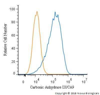 Flow Cytometry of U-87 MG Cells Stained with Carbonic Anhydrase IX/CA9 Antibody