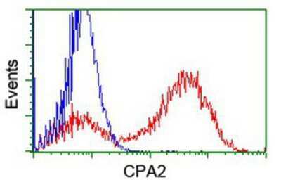 Flow Cytometry: Carboxypeptidase A2/CPA2 Antibody (OTI1C7) [NBP2-01992]