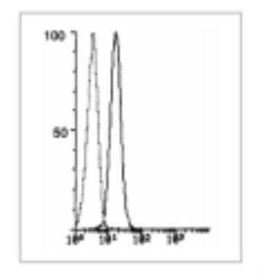 Flow Cytometry: Carboxypeptidase M Antibody (M27) [DDX0520P-100]