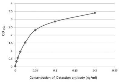 ELISA: Casein Antibody [NBP3-13485]