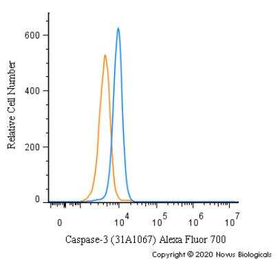 Flow Cytometry of NIH3T3 Cells Stained with Alexa Fluor 700 Conjugated Caspase-3 Antibody