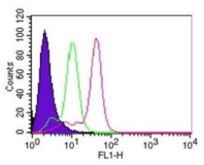 Flow Cytometry: Caspase-8 Antibody (90A992) - Azide and BSA Free [NBP2-80616]