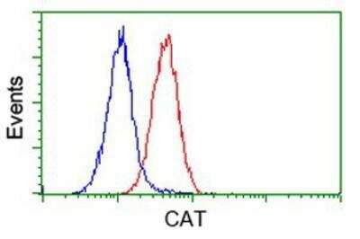 Flow Cytometry: Catalase Antibody (OTI1B8) [NBP2-00492]