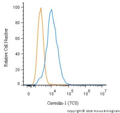 Flow Cytometry: Caveolin-1 Antibody (7C8) [NB100-615]