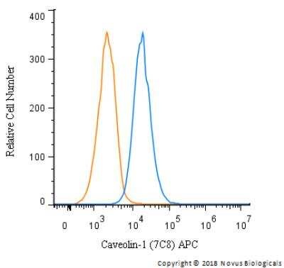 Flow Cytometry: Caveolin-1 Antibody (7C8) [NB100-615]