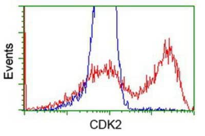 Flow Cytometry: CDK2 Antibody (OTI2D9) [NBP2-00776]