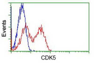 Flow Cytometry: Cdk5 Antibody (OTI2H6) [NBP1-47692]