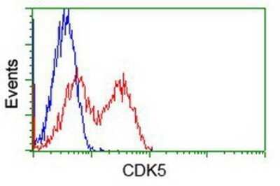 Flow Cytometry: Cdk5 Antibody (OTI2H6) - Azide and BSA Free [NBP2-70396]