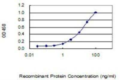 ELISA: Cdk6 Antibody (8H4) [H00001021-M01]