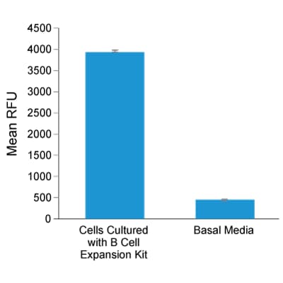 Human B Cell Expansion. 
