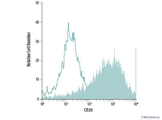 Detection of CD20 in Human B Cells.