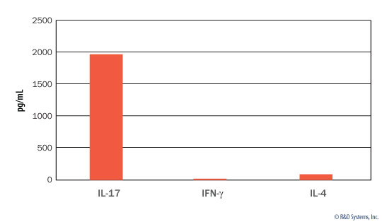 Differentiated Mouse CD4+ Cells Secrete IL-17. 