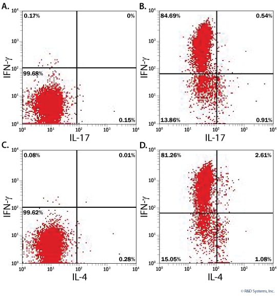 Intracellular Cytokine Staining of Differentiated Mouse Th1 Cells. 