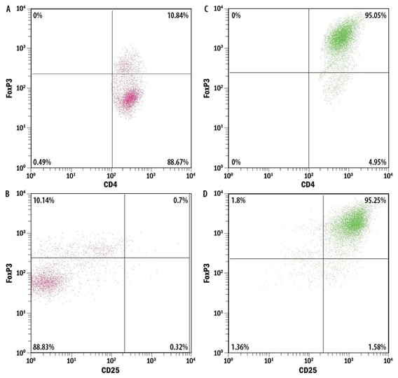 Differentiation of CD4+ T Cells into Treg Cells Confirmed by FoxP3 and CD25 Expression. 