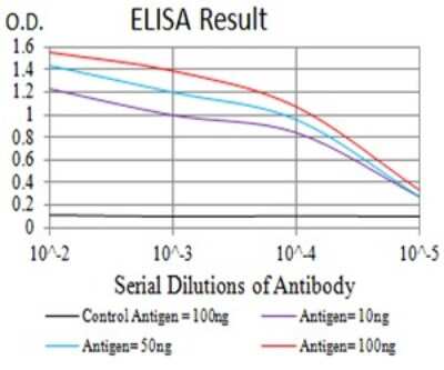 ELISA: Centaurin alpha 1 Antibody (3E2D9) - BSA Free [NBP2-61732]