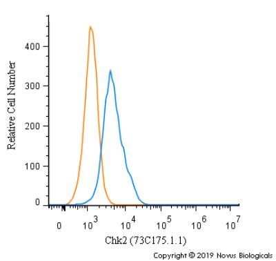 Flow Cytometry: Chk2 Antibody (73C175.1.1) - Azide Free [NBP2-27403]