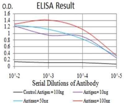 ELISA: Chorionic Gonadotropin beta Chain (hCG beta) Antibody (4B8B3) - BSA Free [NBP2-61789]