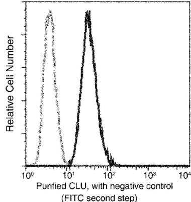 Flow Cytometry: Clusterin/APOJ Antibody (13) [NBP2-89884]