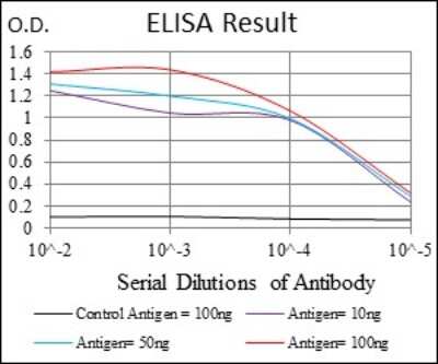 ELISA: Coactosin-like Protein 1/CotL1 Antibody (5C8E3) - BSA Free [NBP2-37517]