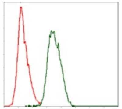 Flow Cytometry: Coactosin-like Protein 1/CotL1 Antibody (5C8E3) - BSA Free [NBP2-37517]