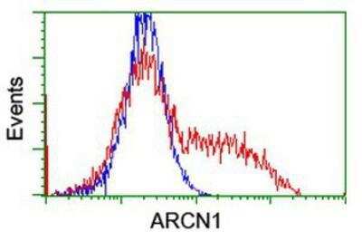 Flow Cytometry: Coatomer Subunit Delta Antibody (OTI6A6) [NBP2-01791]