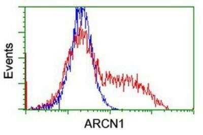 Flow Cytometry: Coatomer Subunit Delta Antibody (OTI6A6) - Azide and BSA Free [NBP2-70203]