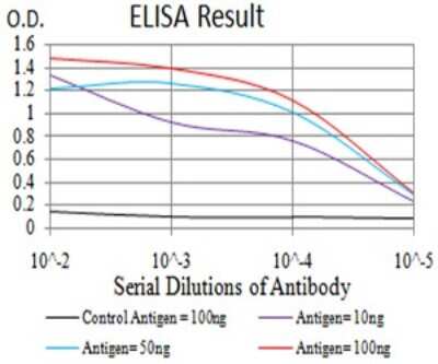ELISA: Complement C3c Antibody (4C6A8) - BSA Free [NBP2-61855]