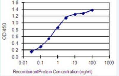 ELISA: Connexin 50/GJA8 Antibody (8A10) [H00002703-M02-100ug]