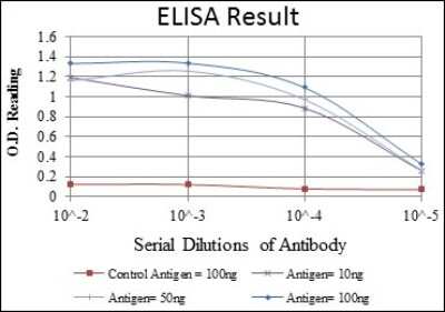 ELISA: Cortactin Antibody (4C6) - BSA Free [NBP2-37621]