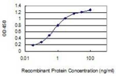 ELISA: Creatine Kinase, Muscle/CKMM Antibody (1E3) [H00001158-M02]