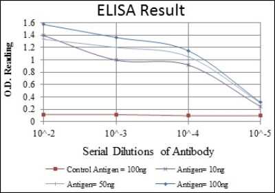 ELISA: Crk Antibody (3G11E8) - BSA Free [NBP2-37568]