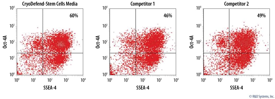 Expression of Pluripotency Markers in BG01V Human Embryonic Stem Cells Frozen in CryoDefend® Stem Cells Media or Cryopreservation Media from Two Different Competitors.