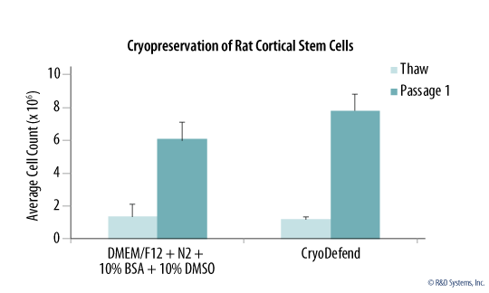 Rat Cortical Stem Cell Viability Following Cryopreservation in Control Cyropreservation Media or CryoDefend® Stem Cells Media. 