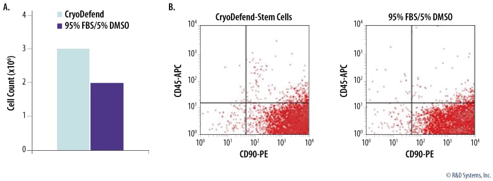 Recovery and Marker Expression of Rat Mesenchymal Stem Cells Cryopreserved in CryoDefend® Stem Cells Media or Conventional Freezing Media. 