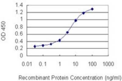 ELISA: Ctip1 Antibody (3D9) [H00053335-M03]