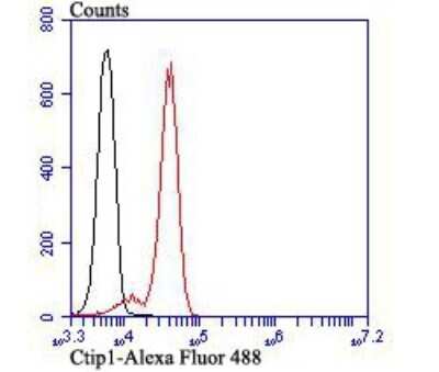 Flow Cytometry: Ctip1 Antibody (JB35-68) [NBP2-75455]