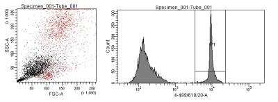 Flow Cytometry: CyTRAK Orange (TM) [NBP2-81127]